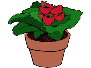 pocketbook plant.gif